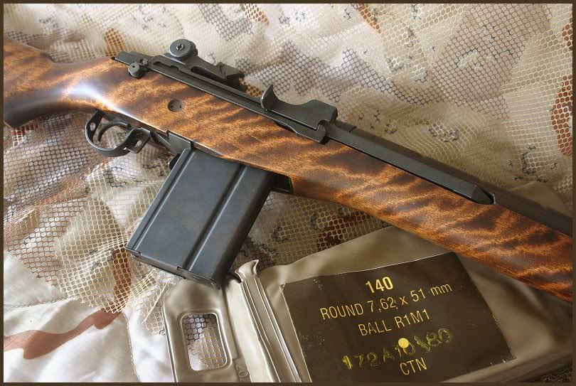 dummy selector switchs M14 Forum